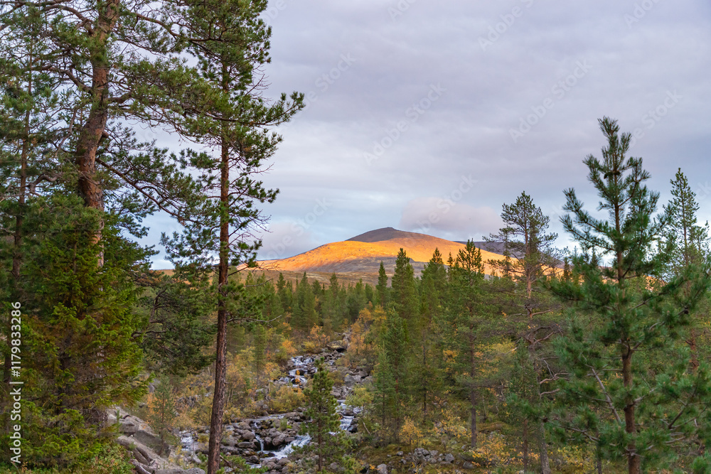 Chasnayok creek in Khibiny mountains near Chorrgor south pass. Early autumn in arctic tundra region. Kola peninsula, Murmansk region, Russia.