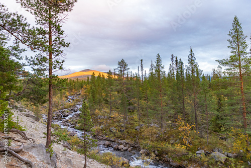 Obraz na płótnie Chasnayok creek in Khibiny mountains near Chorrgor south pass. Early autumn in arctic tundra region. Kola peninsula, Murmansk region, Russia. w salonie
