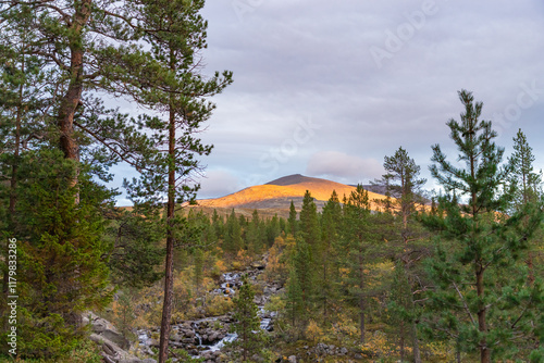Obraz na płótnie Chasnayok creek in Khibiny mountains near Chorrgor south pass. Early autumn in arctic tundra region. Kola peninsula, Murmansk region, Russia. w salonie