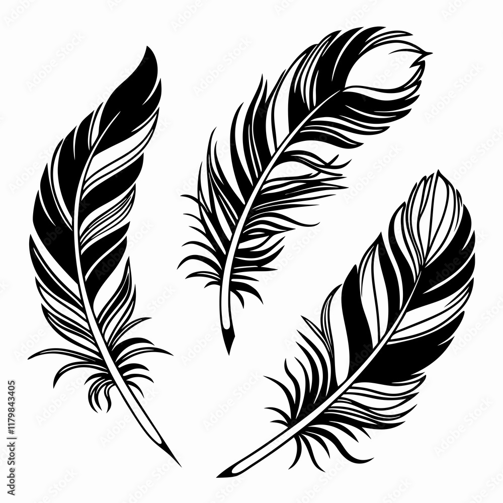 Obraz premium Bird feather silhouettes. bird feather icon Black Silhouette