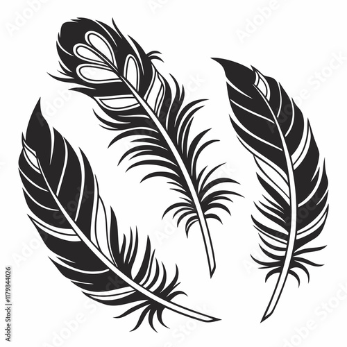 Bird feather silhouettes. bird feather icon Black Silhouette