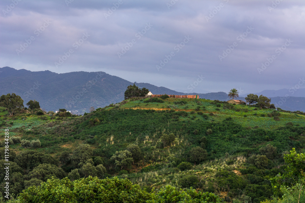 Fototapeta premium mountain, mountains, algeria, africa, landscape, nature, sky, panorama, outdoor, peak, hill, background, scenery, view, travel, rock, forest, valley, beautiful, hiking, adventure, scenic, tourism.
