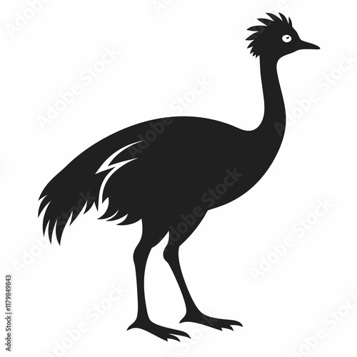 ostrich illustration photo