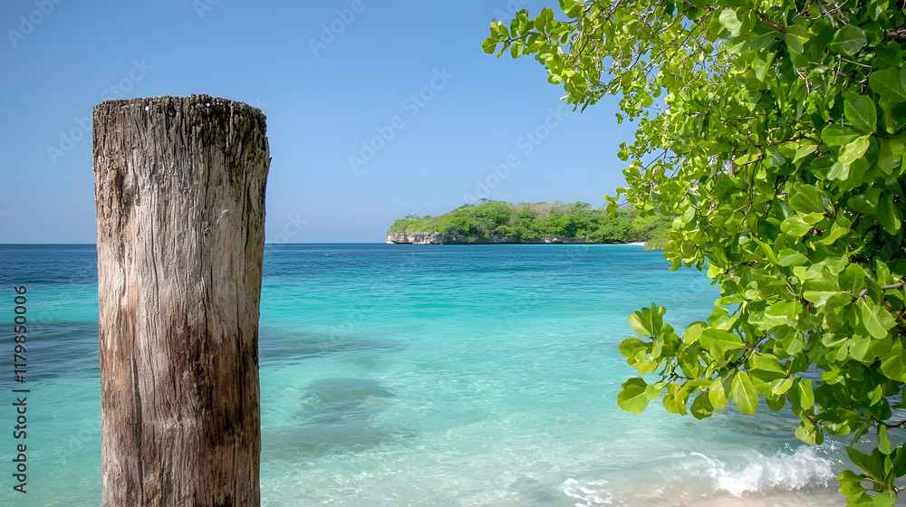 Serene Tropical Beach with Crystal Clear Water and Lush Greenery in Bright Sunshine Serene Tropical Beach with Crystal Clear Water and Lush Greenery in Bright Sunshine