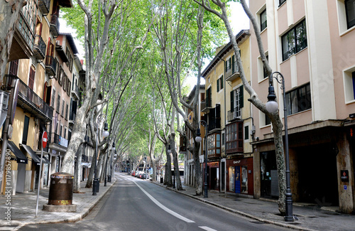 Wallpaper Mural Calle de Palma de Mallorca vacía durante el confinamiento por COVID-19 del año 2020. Torontodigital.ca