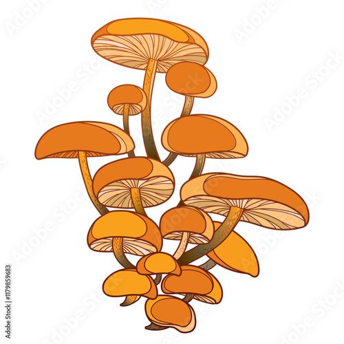 Bunch with outline orange Flammulina velutipes or velvet foot isolated on white background. 