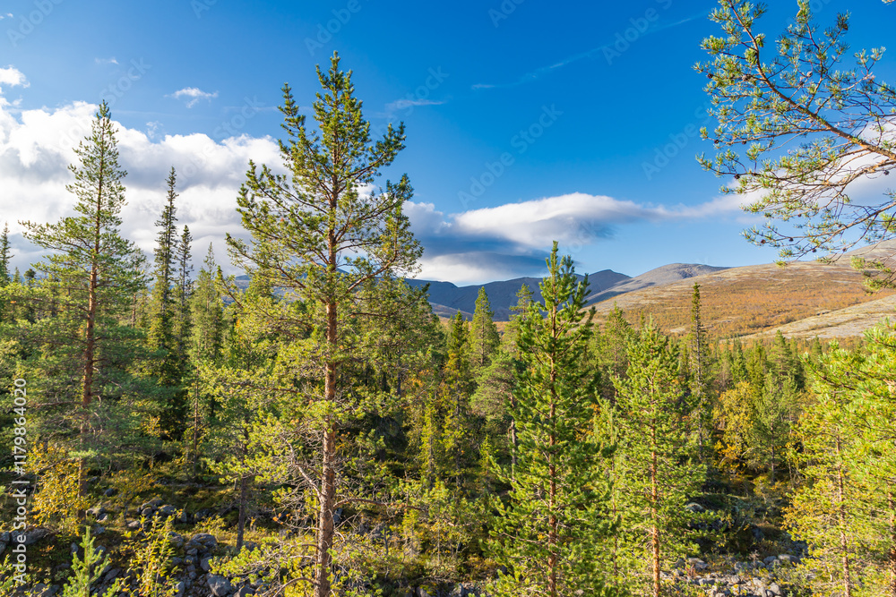 View to Khibiny mountains near Chasnayok creek. Early autumn in arctic tundra region. Kola peninsula, Murmansk region, Russia.