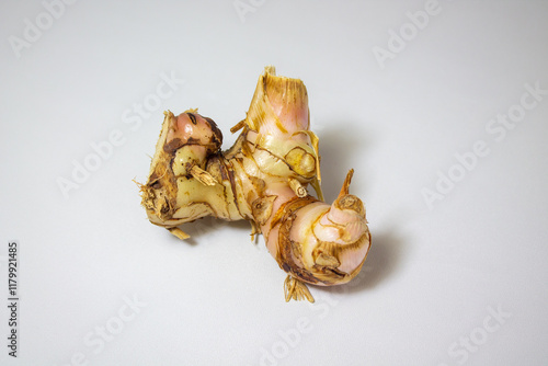 Fresh galangal rhizome (Alpinia galanga) isolated on white background. Galangal is a popular spice in Southeast Asian cuisine, similar to ginger but with a sharper flavor. photo