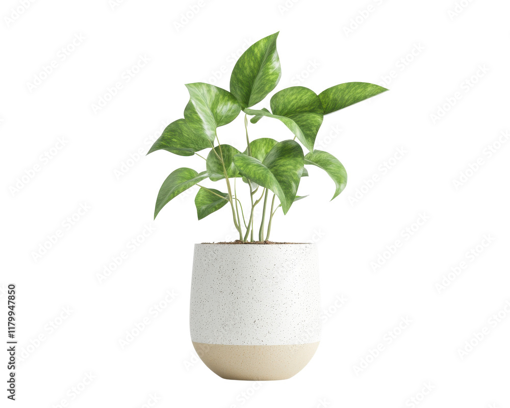 Lush green plant in a modern pot, perfect for home decor or indoor gardens. Lush green plant in a modern pot, perfect for home decor or indoor gardens.
