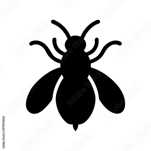 Free Download: Black Fly Vector Graphic