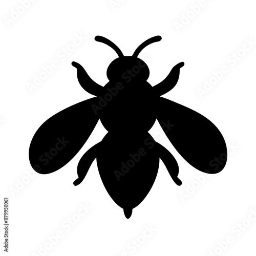 Free Download: Black Fly Vector Graphic