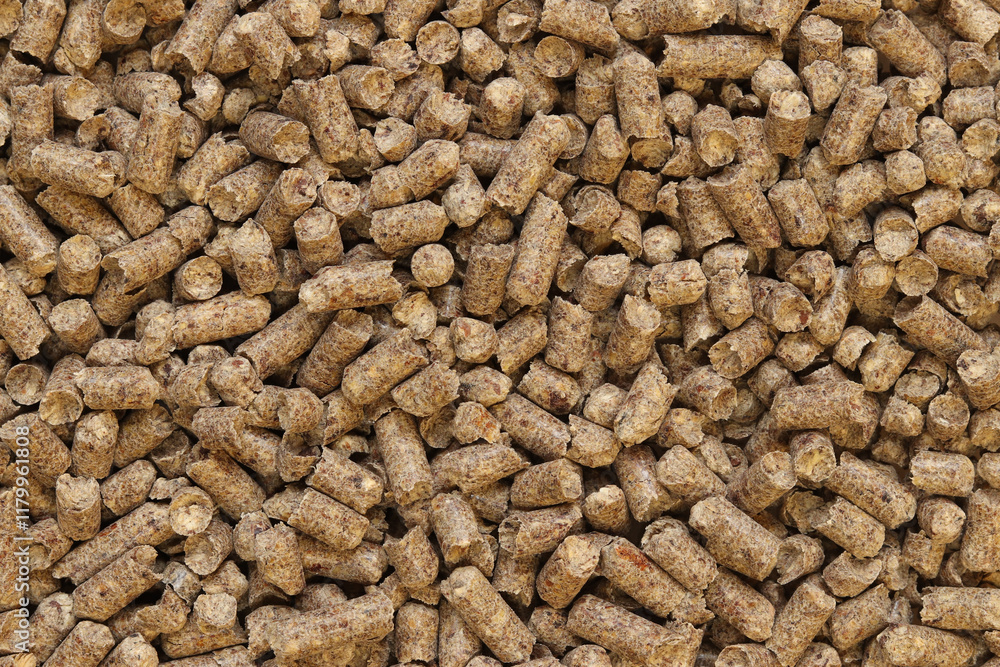 Wood filler for cat toilet, top view. Hygienic filler for pets. Pressed wood, large granules. Pellets. A pile of wood granules. Filler for dogs, cats, domestic rodents. Texture Wood filler for cat toilet, top view. Hygienic filler for pets. Pressed wood, large granules. Pellets. A pile of wood granules. Filler for dogs, cats, domestic rodents. Texture