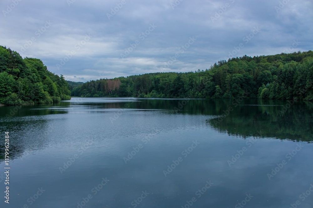 Fototapeta premium lake in the forest