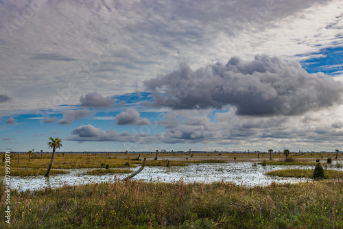 The Stick Marsh, a water and waterfowl management area in Brevard County, Florida, on a stormy day.