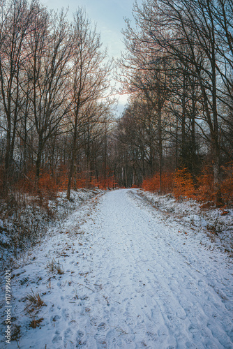 A road in mölledammarna in Billesholm, Sweden photo