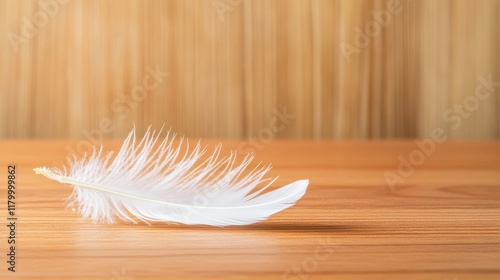 Delicate White Feather Resting on Smooth Wooden Surface with Soft Natural Light Capturing the Beauty of Nature and Showcasing Minimalism in a Subtle Atmosphere photo