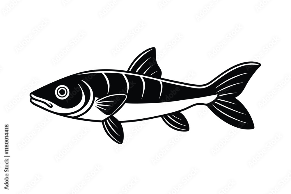 Fototapeta premium illustration of a snook fish