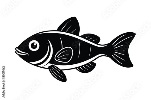 illustration of a barramundi fish