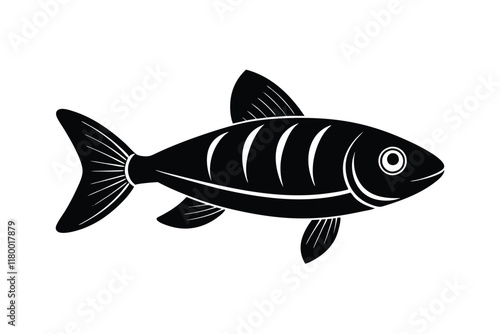 illustration of a  salmon fish