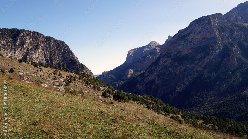 Fototapeta premium landscape in summer