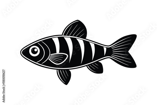 illustration of a perch fish
