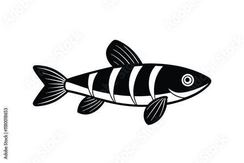 illustration of a danio fish