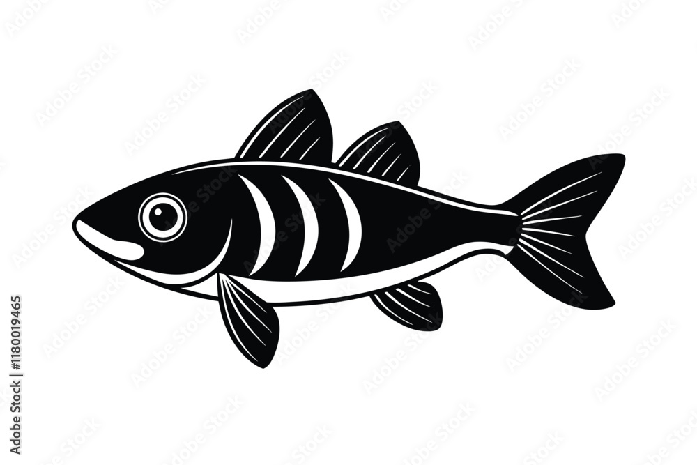 Fototapeta premium illustration of a snook fish