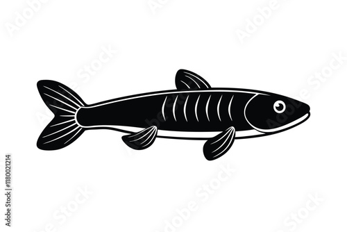 illustration of a bichir fish photo