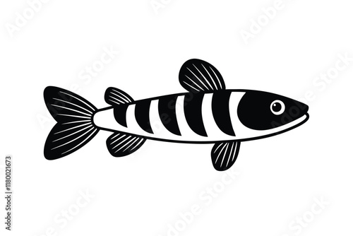 illustration of a  killifish