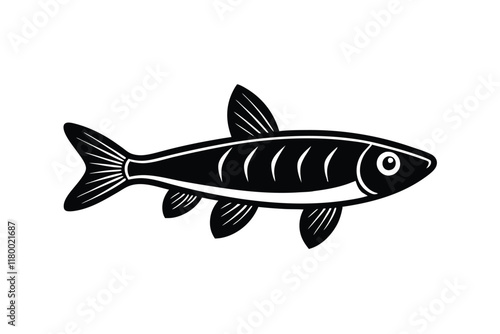 illustration of a anchovy fish