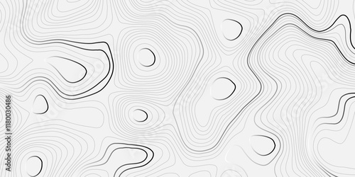 Abstract topography wave paper curved reliefs white line background, contours topography map background, topography and geography map grid background, Abstract vector illustration.