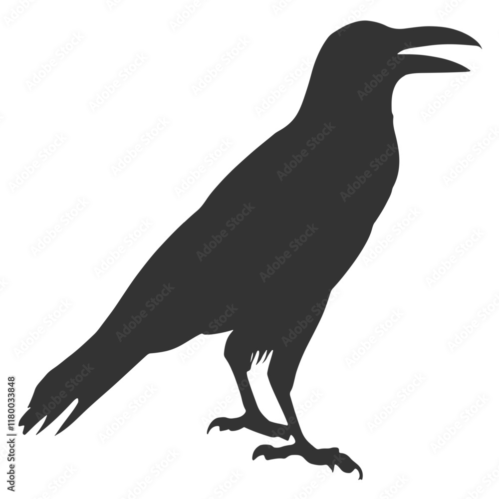 Fototapeta premium Raven Silhouette Illustration, Black Bird Sketch, Isolated