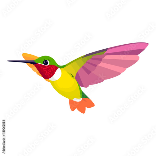 Myna bird vector with a white background.