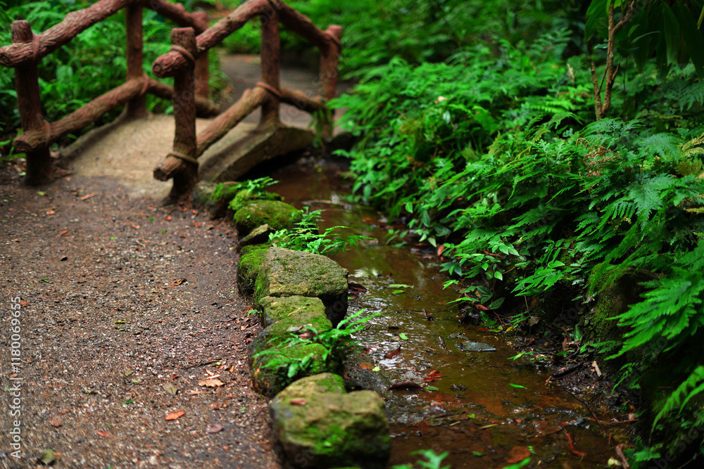 Obraz premium creative little bridge in the forest