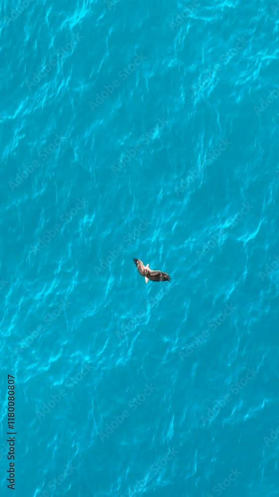 Swimming in clear blue waters reveals a serene moment with nature's beauty captured from above in vibrant colors and calming waves