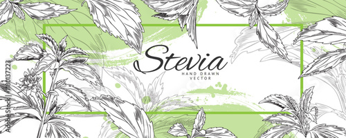 Vector poster in the style of a sketch depicting branches of stevia plant with leaves.