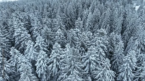 flight over a snowy spruce and fir forest landscape in the alpine landscape of the Bregenz Forest in  Vorarlberg next to Sulzberg, Austria photo