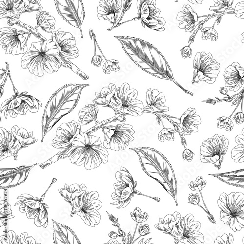 Cherry flowers, blossom plant engraved sketch vector seamless pattern, hand drawn spring Sakura blooming floral design