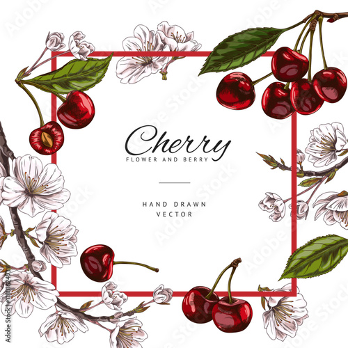 Vector illustration of a poster with ripe cherries with green leaves and flowers.
