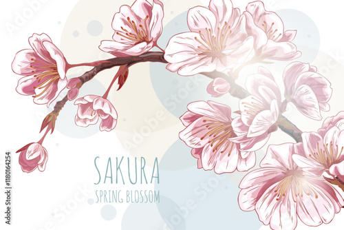 Vector of sakura branch with pink flowers in the sketch style on a white background.