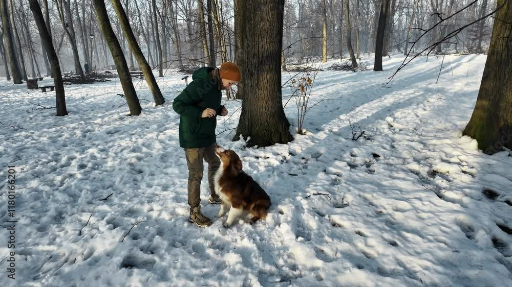 A young Caucasian woman trains dog in a snowy park on a sunny winter day. Girl is having fun with pet Australian Shepherd outside, learning new tricks together A young Caucasian woman trains dog in a snowy park on a sunny winter day. Girl is having fun with pet Australian Shepherd outside, learning new tricks together