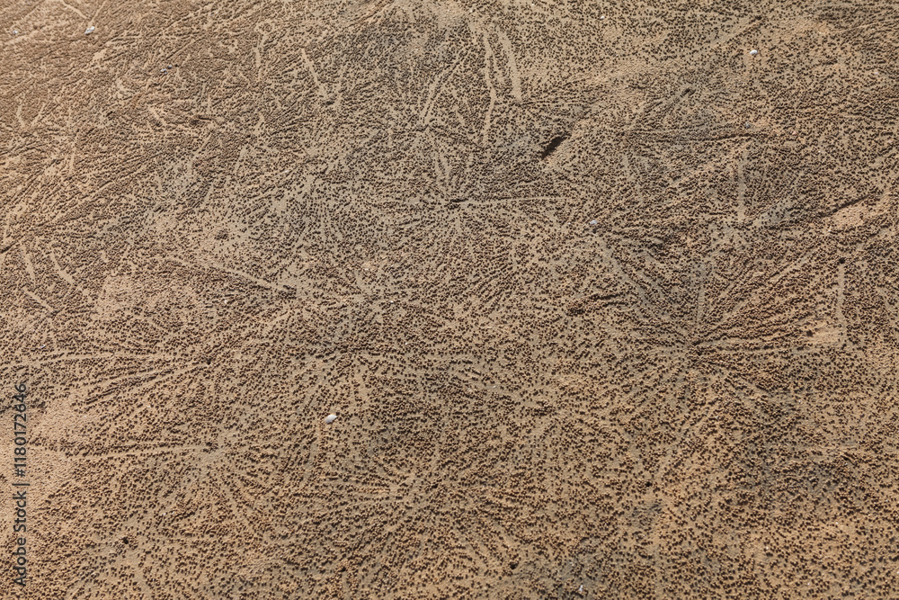 sand texture background