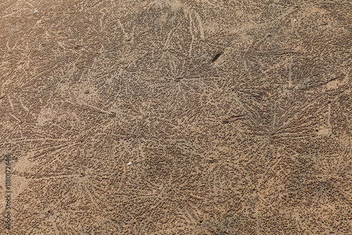 Obraz na płótnie sand texture background w salonie