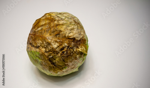 Cabbage rhizoctoniosis, a fungal disease. A rotten cabbage.Frostbitten vegetables in the warehouse.Spoiled vegetables. photo