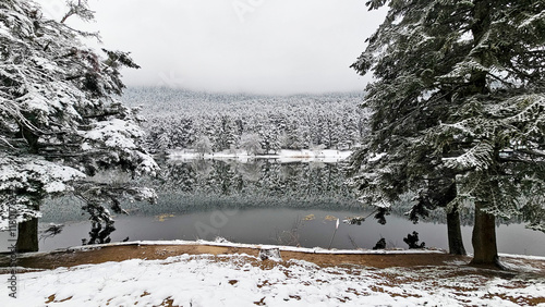 Bolu Golcuk National Park, ...