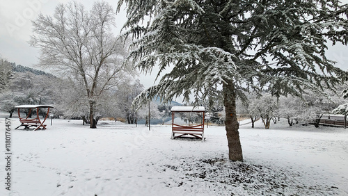 Bolu Golcuk National Park, ...