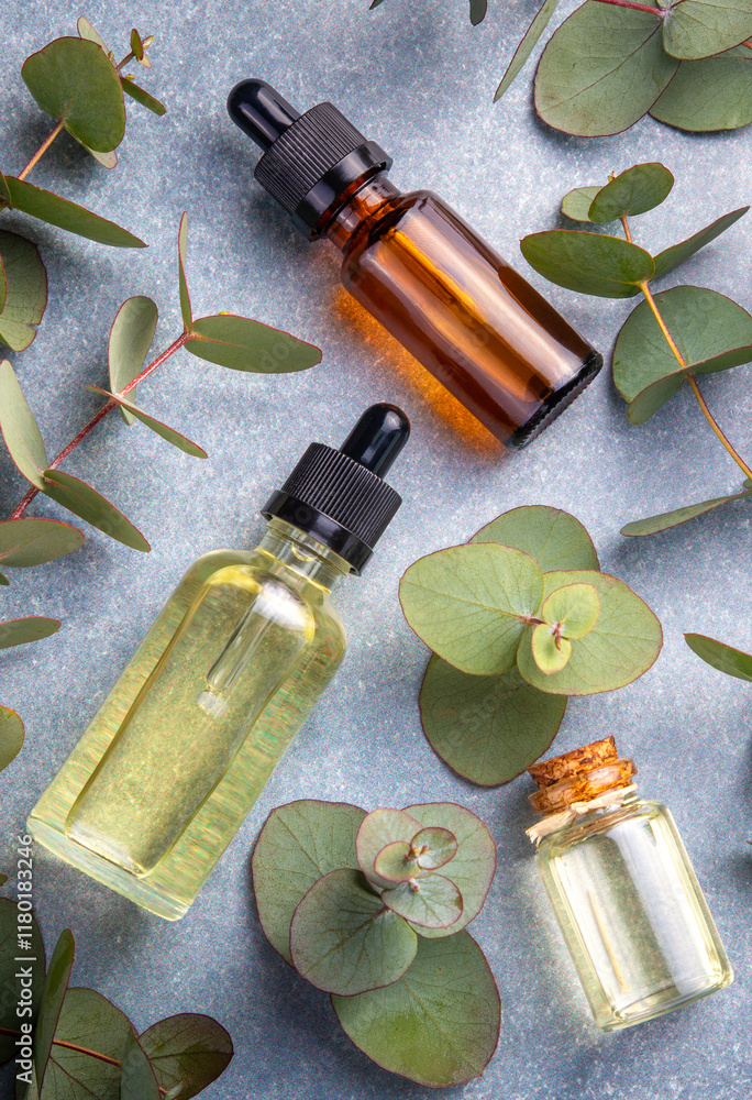 Eucalyptus leaves and essential oil