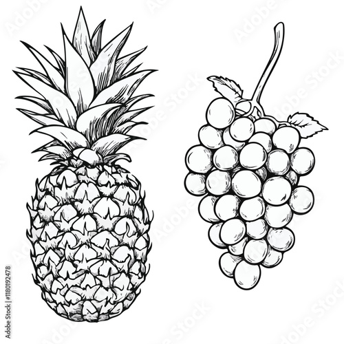 Pineapple Icons: From Simple Silhouettes, Colorful Icons, and Fun Characters to Adorable Mascots.