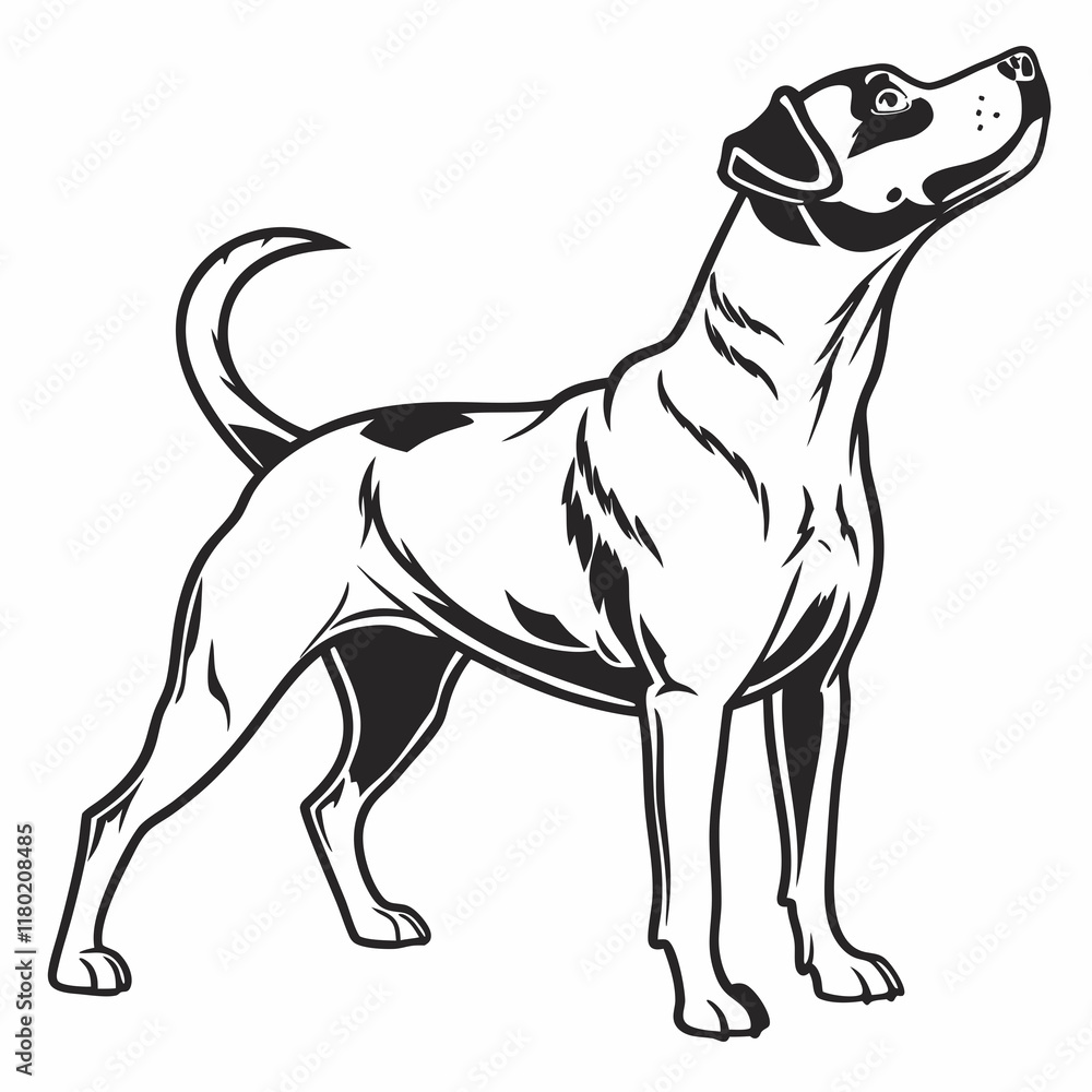 Fototapeta premium black and white dog