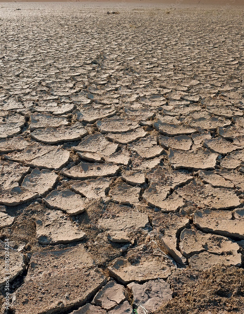 Dry, cracked earth stretches as far as the eye can see, a stark image of drought and aridity. Dry, cracked earth stretches as far as the eye can see, a stark image of drought and aridity.